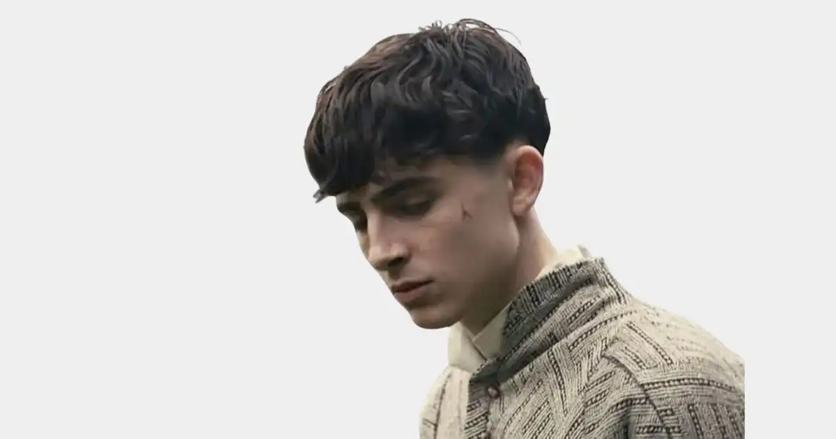Timothee Undercut Haircut