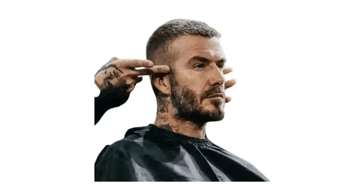 High and Tight